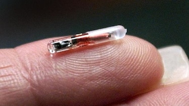 Ya es una realidad: Empresa sueca inyecta microchips a empleados para monitorearlos