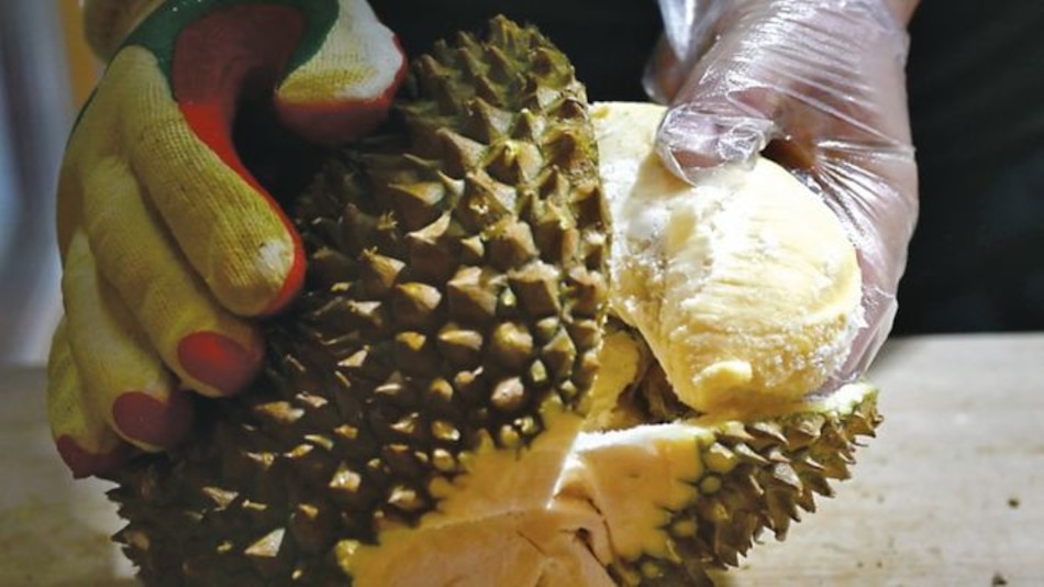 Apetito por fruta exótica amenaza la jungla de Malasia