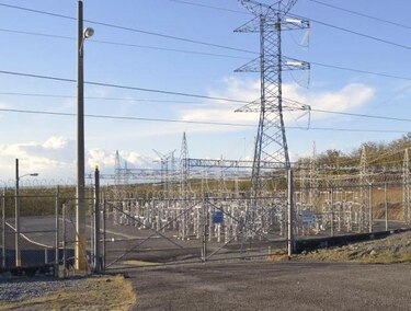 Ardilla provoca apagón eléctrico por media hora en David