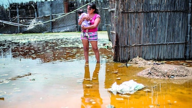 Damnificados tratan de recuperar sus vidas