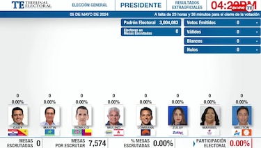 Sistema TER del Tribunal Electoral puesto en cero para elecciones del 5 de mayo