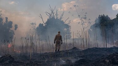 El Pantanal, el mayor humedal del planeta, también arde en Brasil