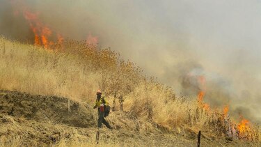 Bomberos combaten gran incendio forestal en California