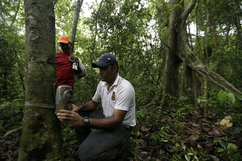 Atesoran la huella del jaguar al otro lado del lago Alajuela