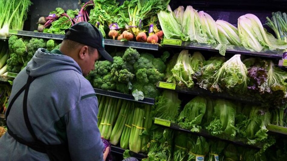 Supermercados y restaurantes en Panamá retiran lechuga romana originaria de Estados Unidos