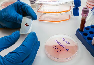 La malaria repunta y causa dos muertes después de ocho años en Panamá