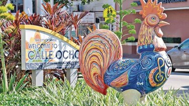 La revolución que le cambió el rostro a Miami
