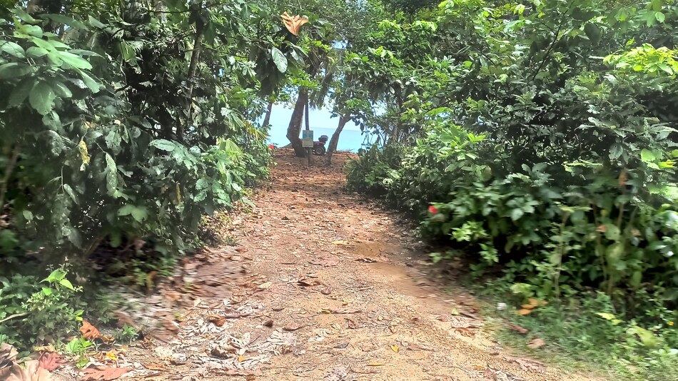 Las razones ambientales del rechazo al proyecto vial en Isla Colón, Bocas del Toro