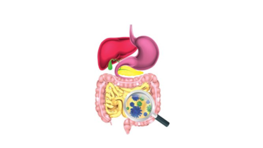 Importancia médica del microbioma