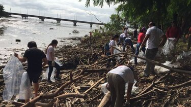 Limpian playas, costas y ríos en Panamá