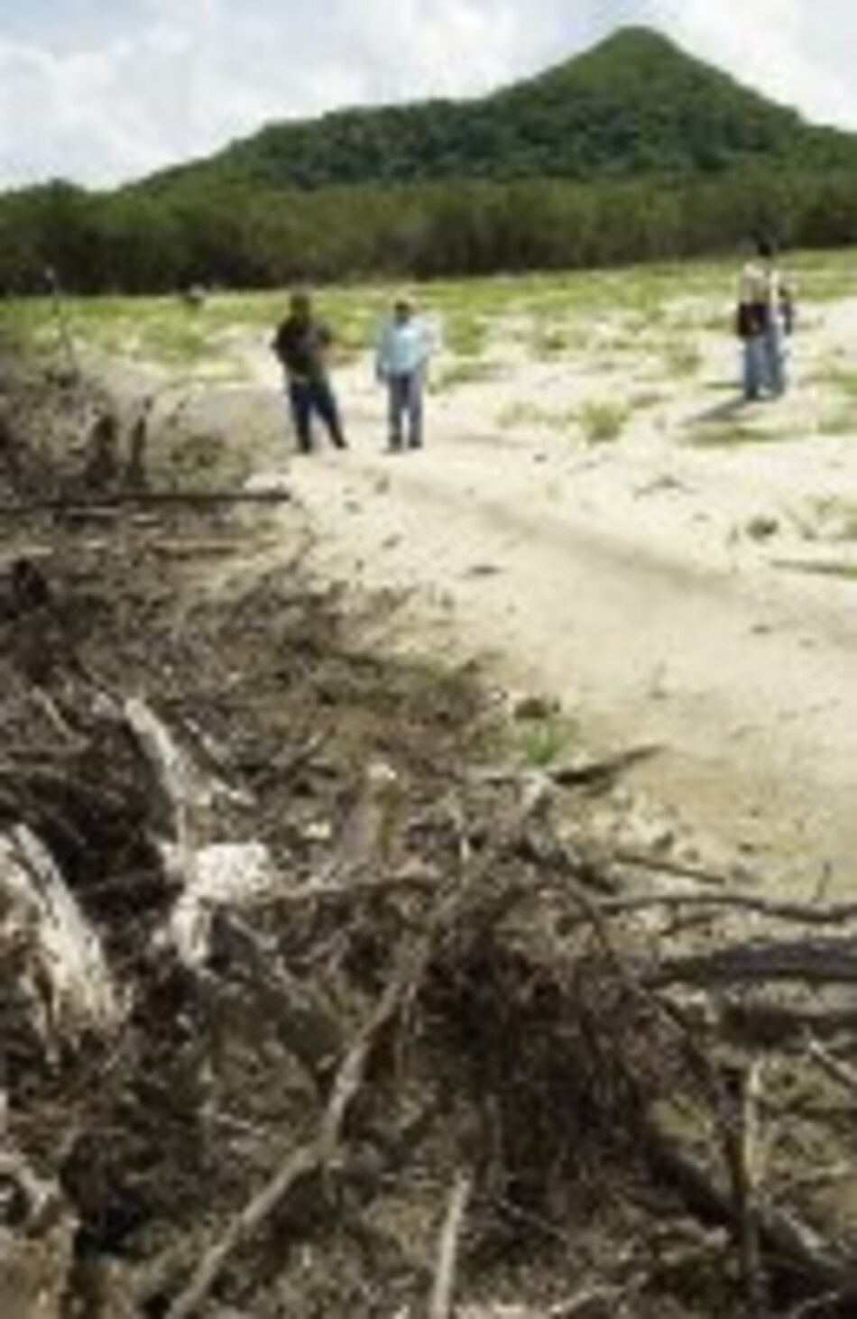 Sobreseen a Rodolfo Espino