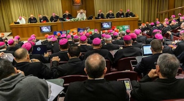 Obispos piden el 'pecado ecológico', curas casados y mujeres diáconos para la Amazonía