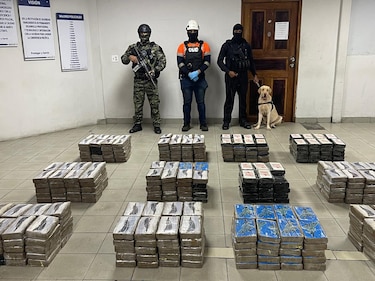 Decomisan en un puerto 400 paquetes con droga en un contenedor que tenía como destino Italia
