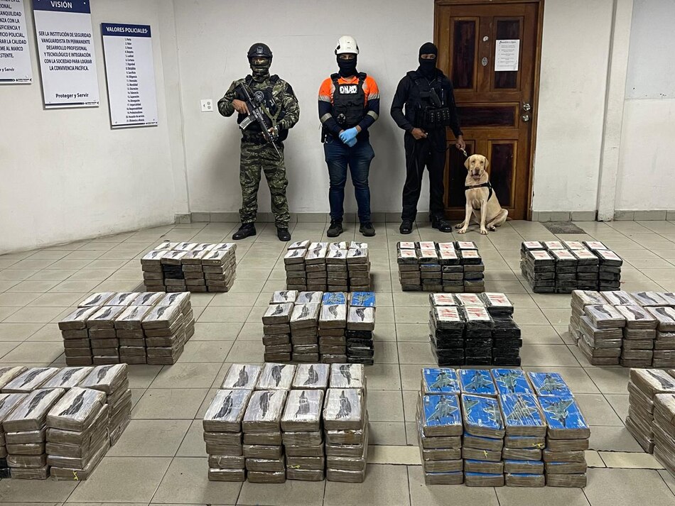 Decomisan en un puerto 400 paquetes con droga en un contenedor que tenía como destino Italia