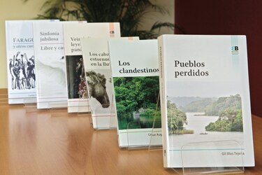 Biblioteca Nacional se ajusta y prepara el retorno