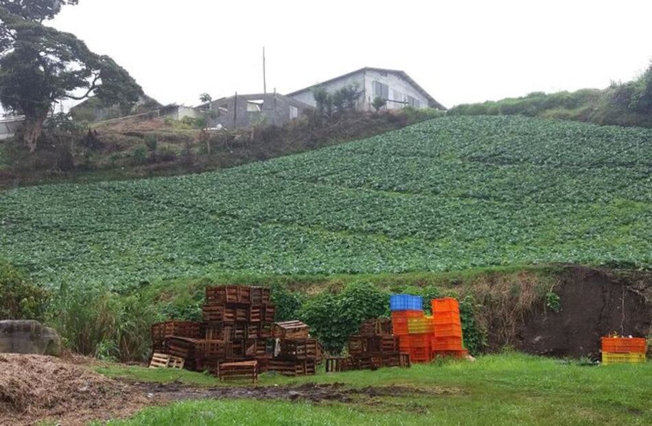 Detectan que siete casas están en alto riesgo en zona de deslizamiento en Cerro Punta