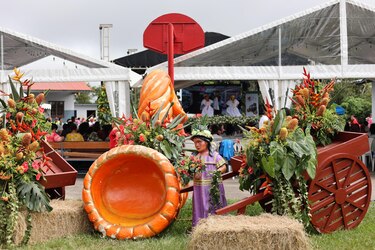 Más de un millón de flores adornan a la comunidad de Volcán en Tierras Altas