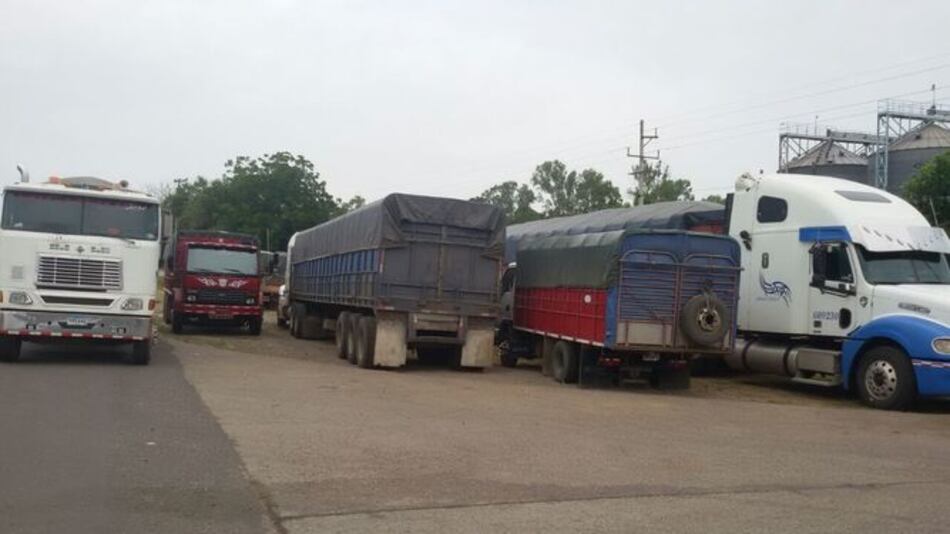 Arroceros denuncian falta de espacio en los silos de La Honda