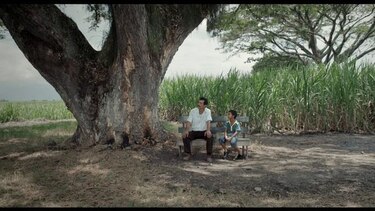 'La tierra y la sombra': el heroísmo de la gente del campo