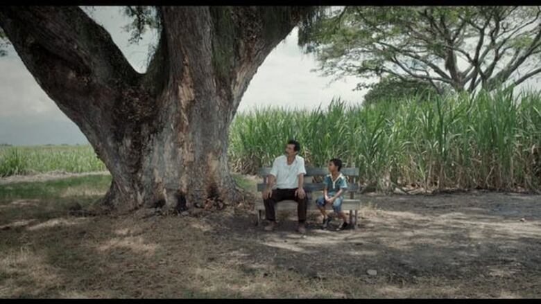 'La tierra y la sombra': el heroísmo de la gente del campo