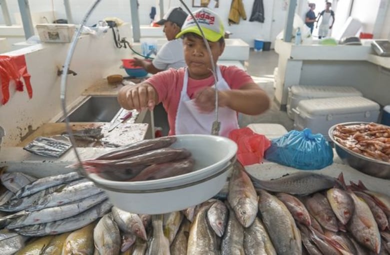 Pescados y mariscos frescos en Río Hato