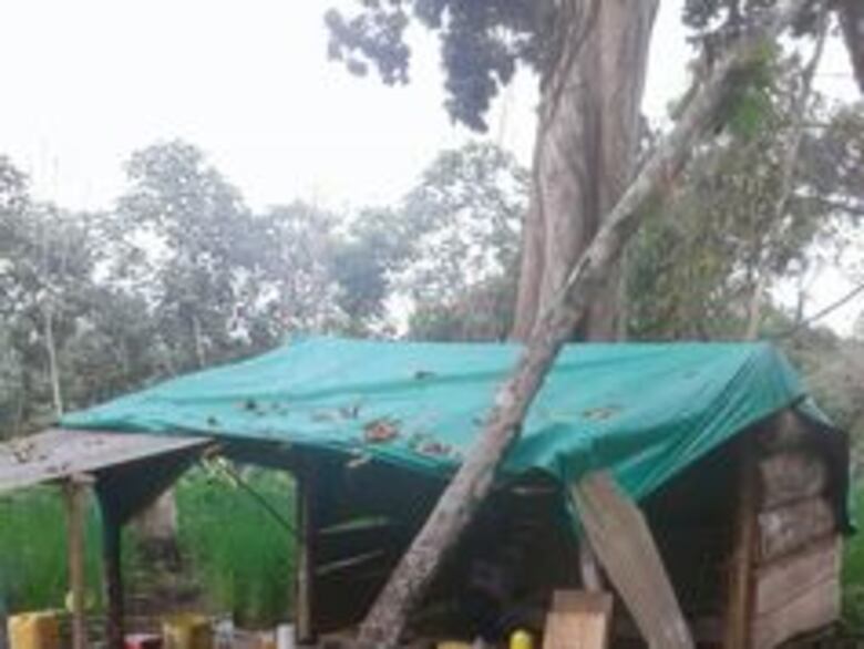 Decomisan 7 mil cápsulas con cocaína envueltas en cáscaras de frijoles