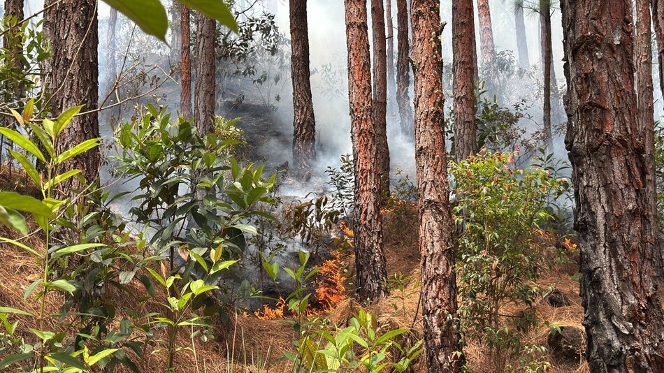 Incendio forestal en la reserva La Yeguada: voluntarios intentan sofocarlo