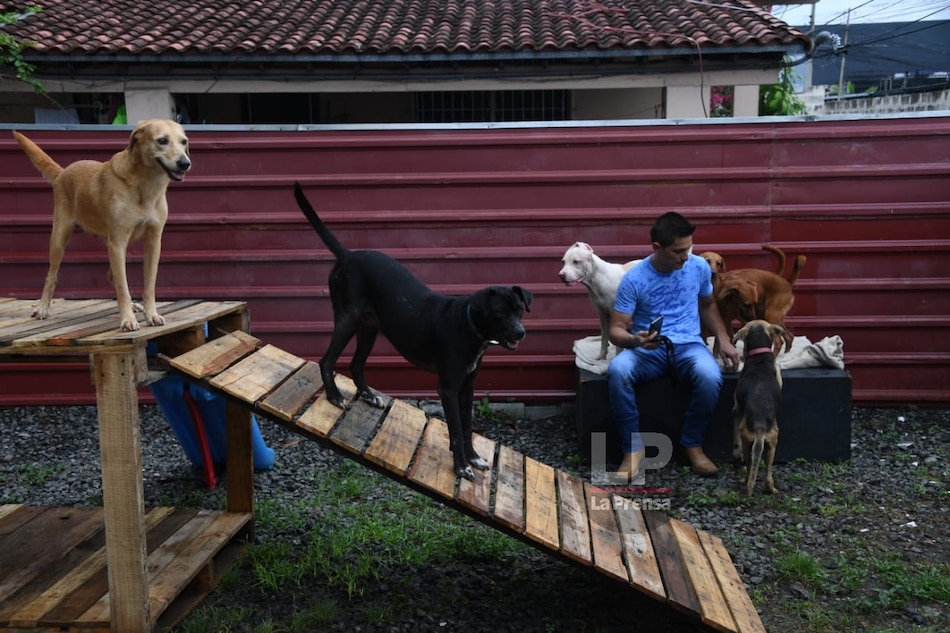 Inauguran centro de adopciones de animales rescatados