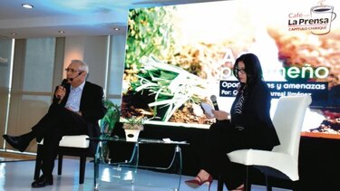 Piden asociaciones para revivir el agro