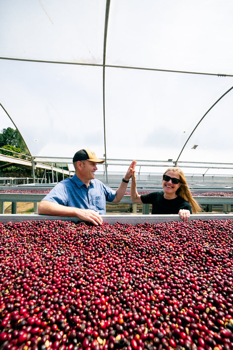 Café geisha panameño rompió récord al venderse en más de $30 mil por kilo