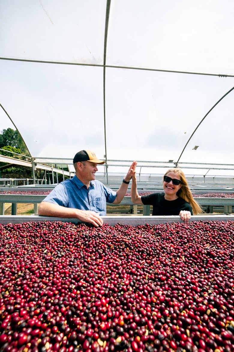 Café geisha panameño rompió récord al venderse en más de $30 mil por kilo