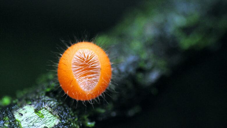 Desde lo alto del cerro