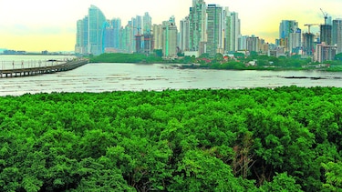 Ambiente adelanta plan de manejo para bahía de Panamá