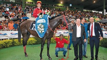 Promise To Power se impone