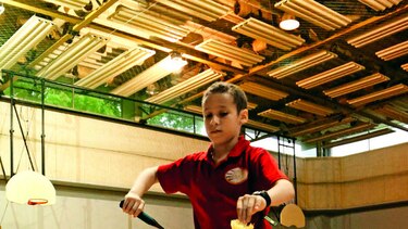 Embajador del bádminton
