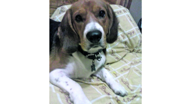 Marly