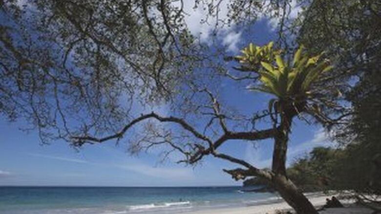 Acampar en isla Bolaños