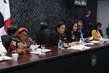 Sociedad de Obstetricia y Ginecología rechaza proyecto de inscripción de bebés no nacidos