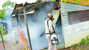 Niegan tomar acción contra los que tengan focos de infestación