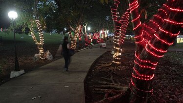 Gobierno avaló pagos a Showpro