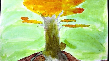 La ciencia y sus colores naturales