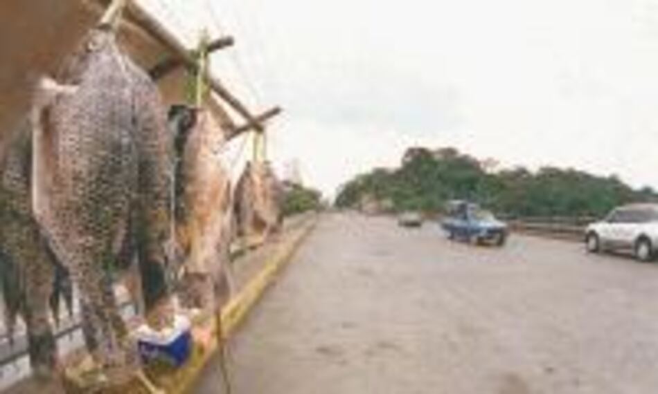 El puente del Chagres lucha contra el tiempo