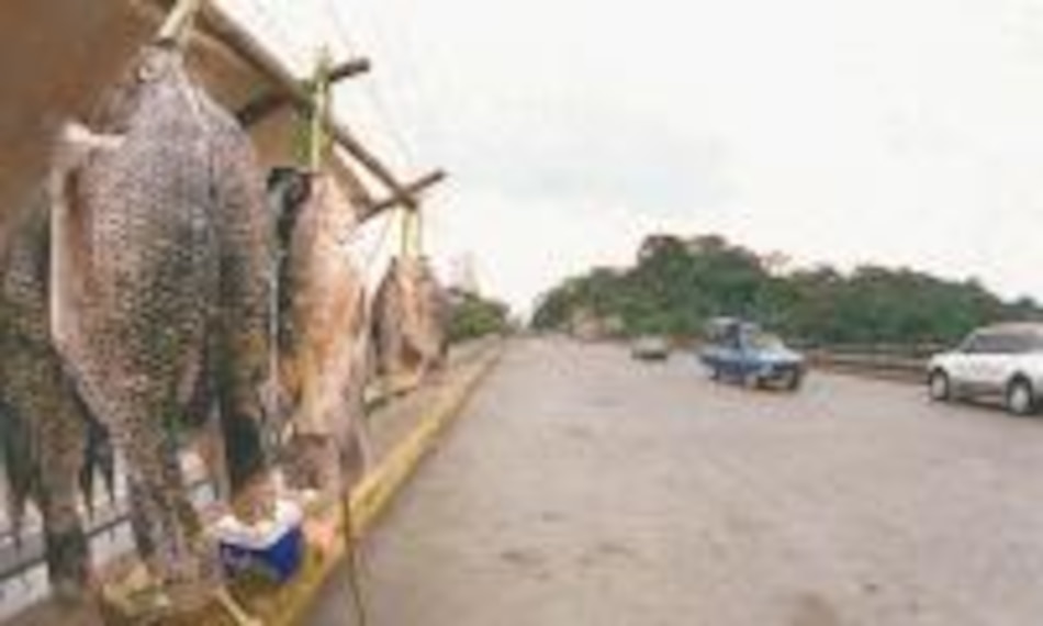 El puente del Chagres lucha contra el tiempo