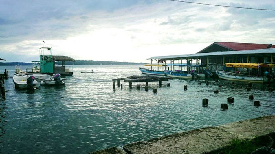 Empresarios turísticos de Isla Colón advierten que sus empresas ‘ya no pueden abrir’ por bloqueo de carreteras