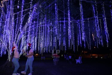 El corregimiento de Don Bosco enciende sus luces navideñas