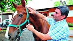 El doctor de los caballos