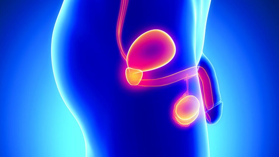 10 mitos del dolor en los testículos