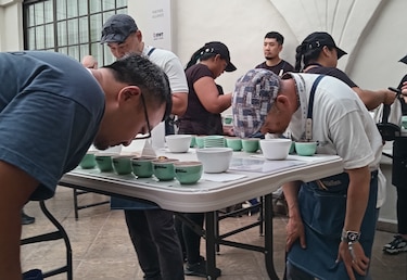 Café varietal panameño se perfila como campeón en el Best of Panamá 2024
