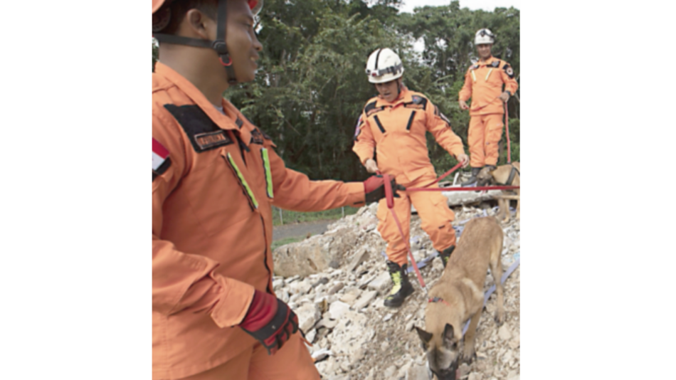 Crean cargos y escala salarial para miembros del Sinaproc
