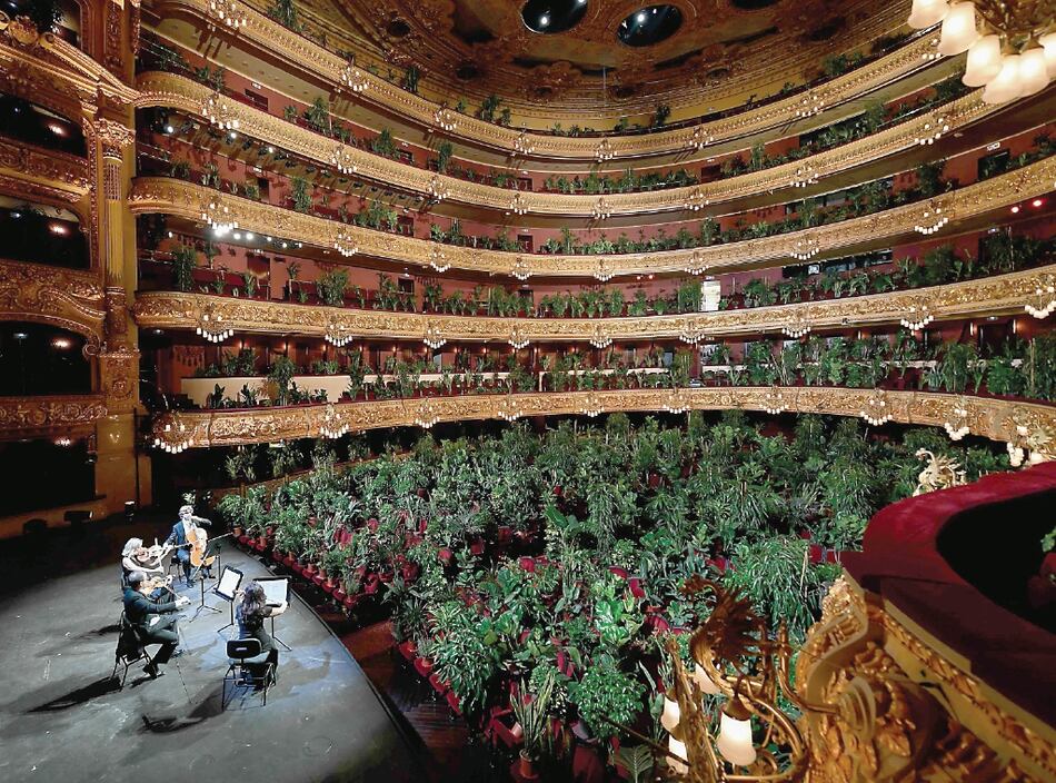 Plantas como público en el Gran Teatro Liceu
